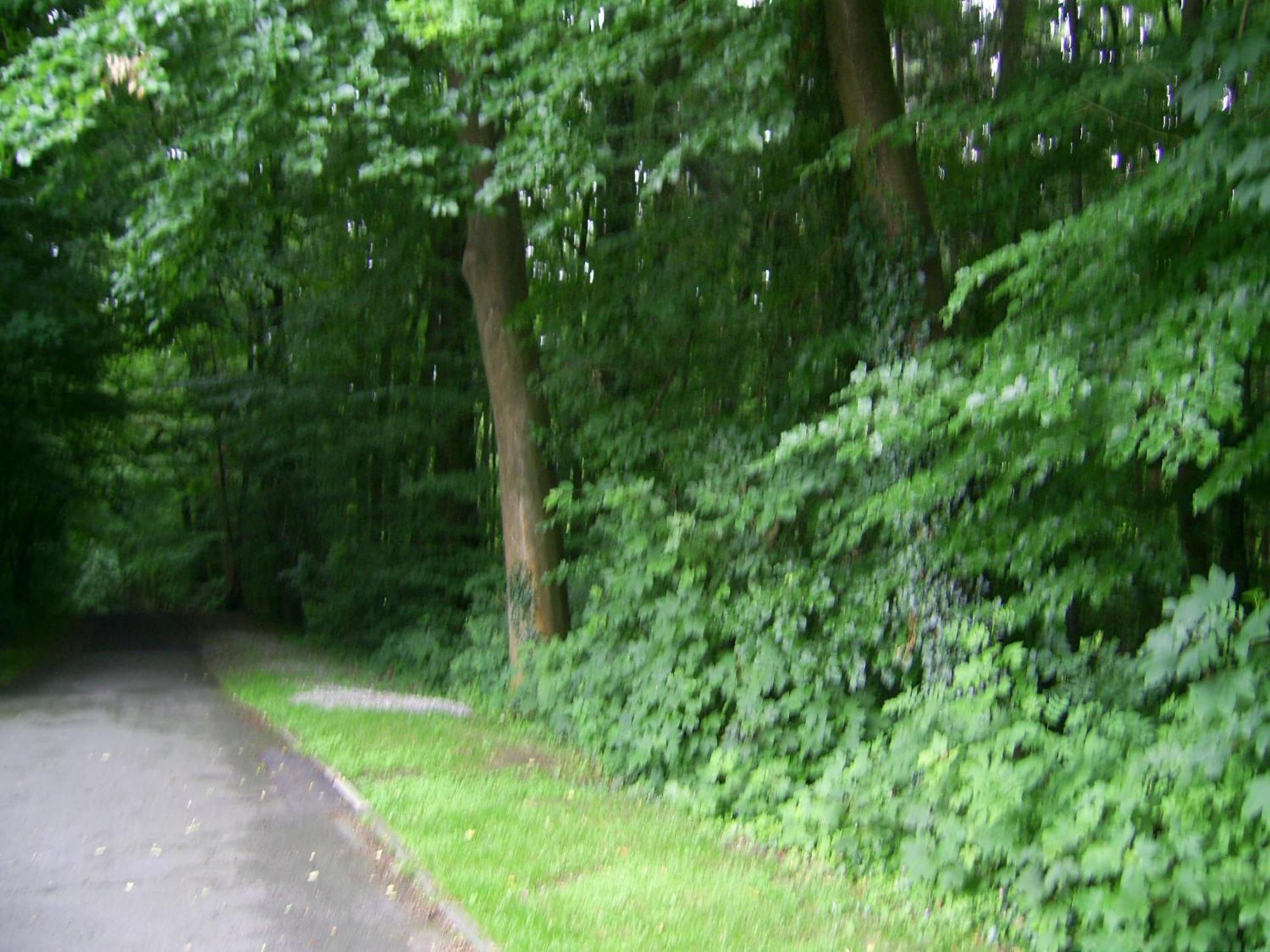 Waldpension Bielefeld Esterno foto